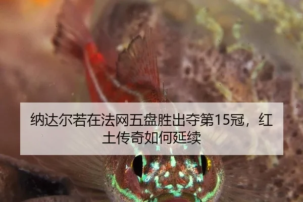 纳达尔若在法网五盘胜出夺第15冠，红土传奇如何延续