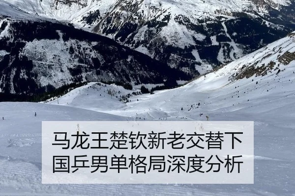 马龙王楚钦新老交替下 国乒男单格局深度分析