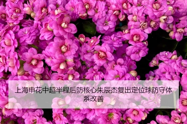 shang-hai-shen-hua-zhong-chao-ban-cheng-hou-fang-he-xin-zhu-chen-jie-fu-chu-ding-wei-qiu-fang-shou-ti-xi-gai-shan-3-348.jpg