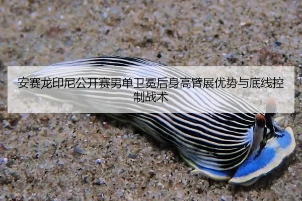 an-sai-long-yin-ni-gong-kai-sai-nan-dan-wei-mian-hou-shen-gao-bi-zhan-you-shi-yu-di-xian-kong-zhi-zhan-shu-2-596.jpg